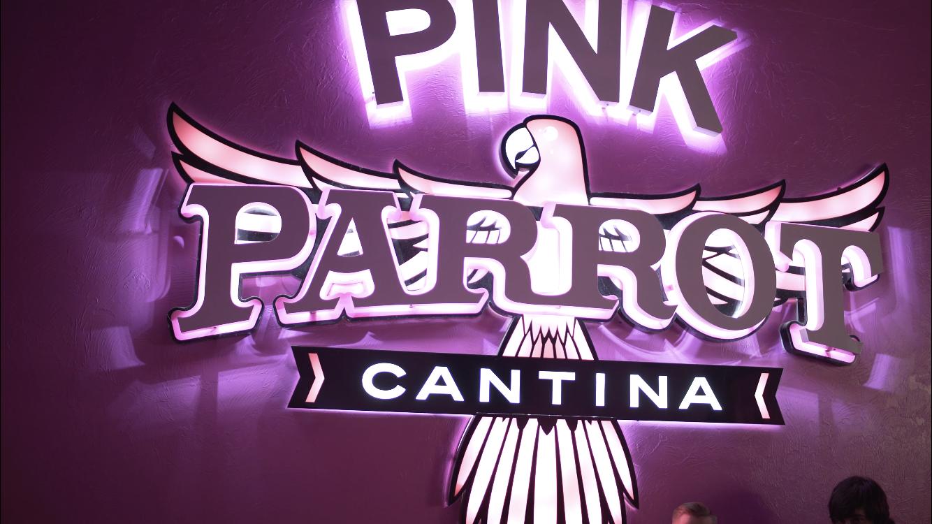 Pink Parrot